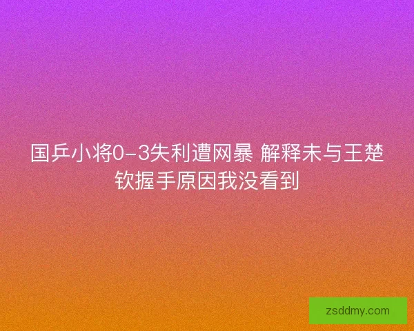 国乒小将0-3失利遭网暴 解释未与王楚钦握手原因我没看到
